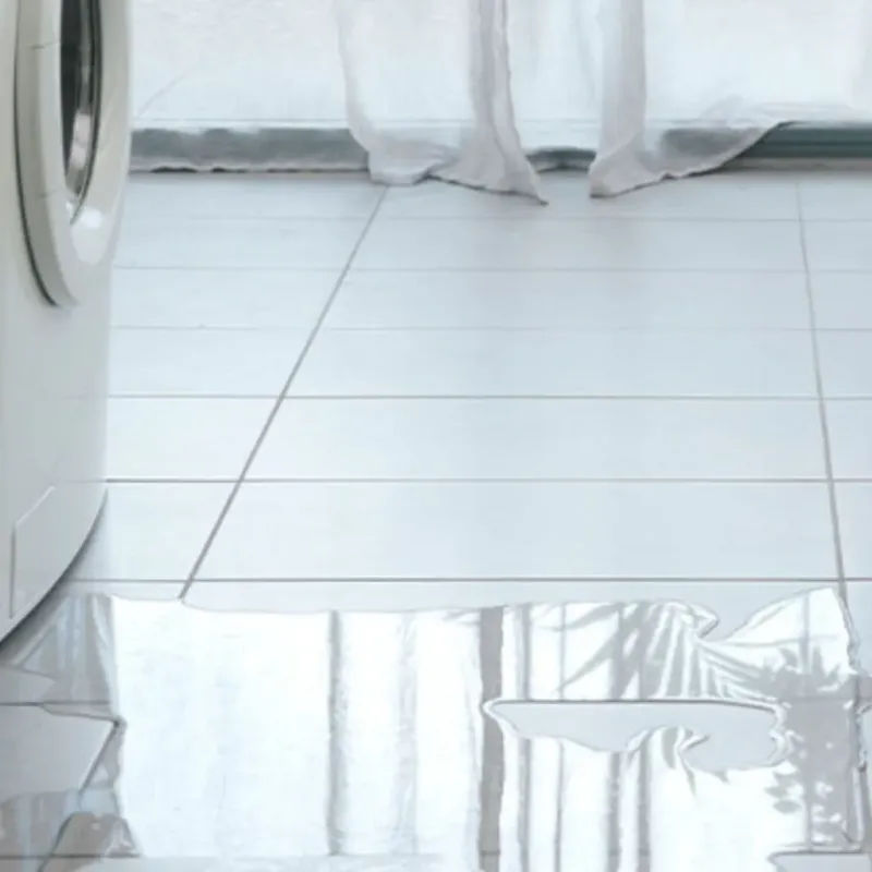 Appliance Leak Cleanup in Pleasanton, TX