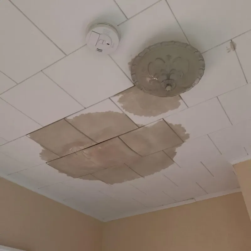 Ceiling Water Damage Repair in Pleasanton, TX