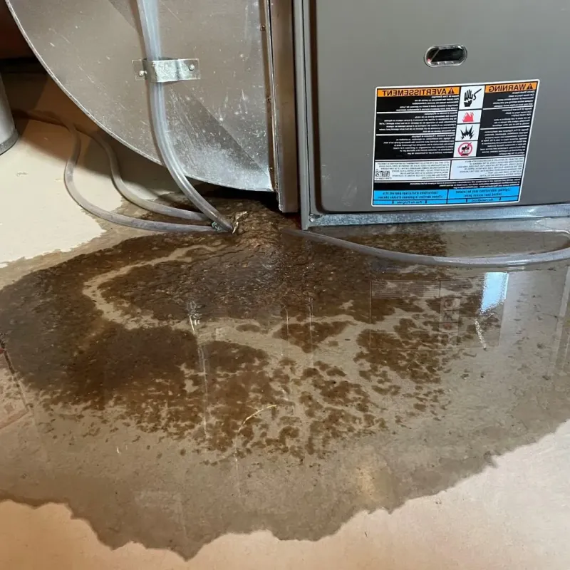 Pipe Burst and Leak Restoration in Pleasanton, TX
