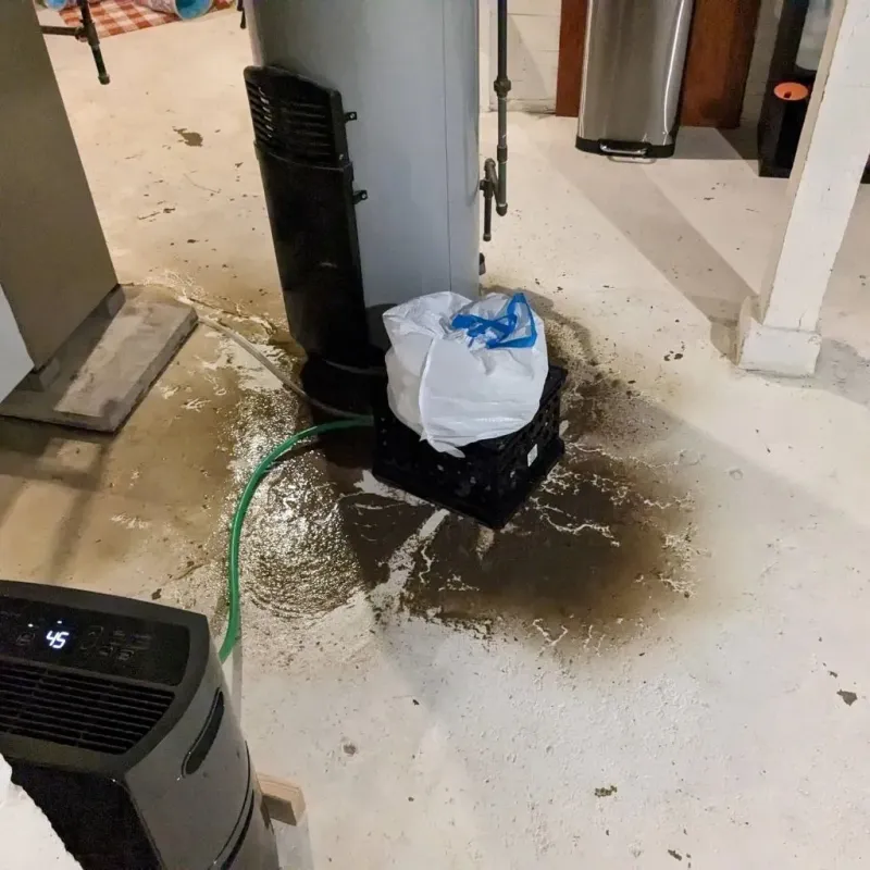 Sewage Backup Cleanup Service in Pleasanton, TX